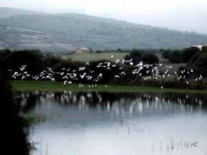 Guerbès -Sanhadja un petit coin de paradis menacé