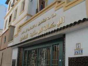 L’Anem tente de décrypter ses talismans, L’emploi, ce sésame si mystérieux !