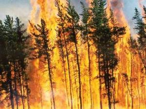 Des dégâts importants à Béjaïa