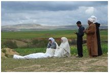 L'Algérie à  l'affiche à Angoulême