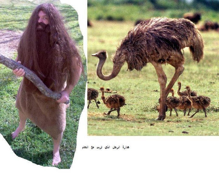 قصة هداره الرجل الذي عاش مع النعام