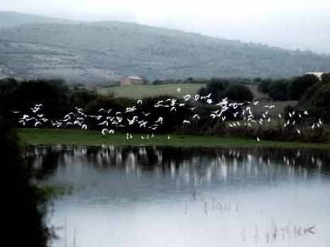 Guerbès -Sanhadja un petit coin de paradis menacé
