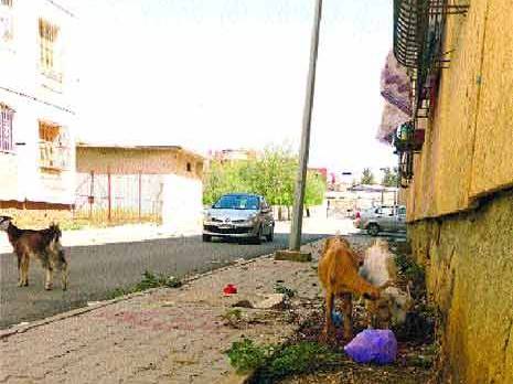 Isolement, insécurité  et insalubrité