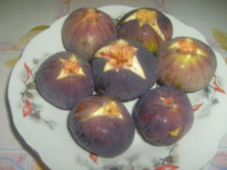 Les figues fraîches de Lemroudj