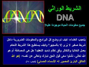الشريط الوراثي DNA