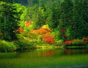 العلاج بالألوان