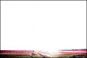 يكاد البرق يخطف أبصارهم