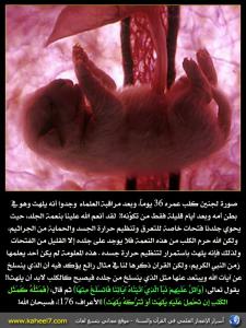 صورة وآية: الكلب يلهث