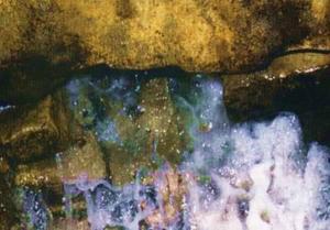 ماء زمزم لما شُرب له