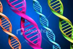 أسرار العلاج بالاستماع إلى القرآن