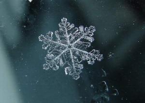 ذاكرة ماء زمزم