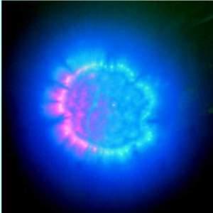 قوة العلاج بالقرآن: بين العلم والإيمان