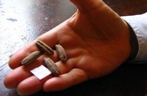 يخرج الحي من الميت**1