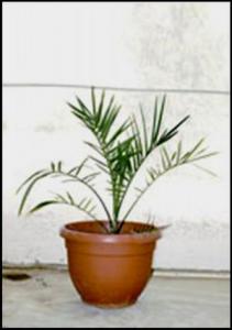 يخرج الحي من الميت***2