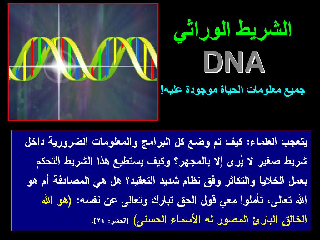 الشريط الوراثي DNA