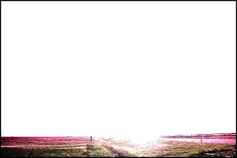 يكاد البرق يخطف أبصارهم