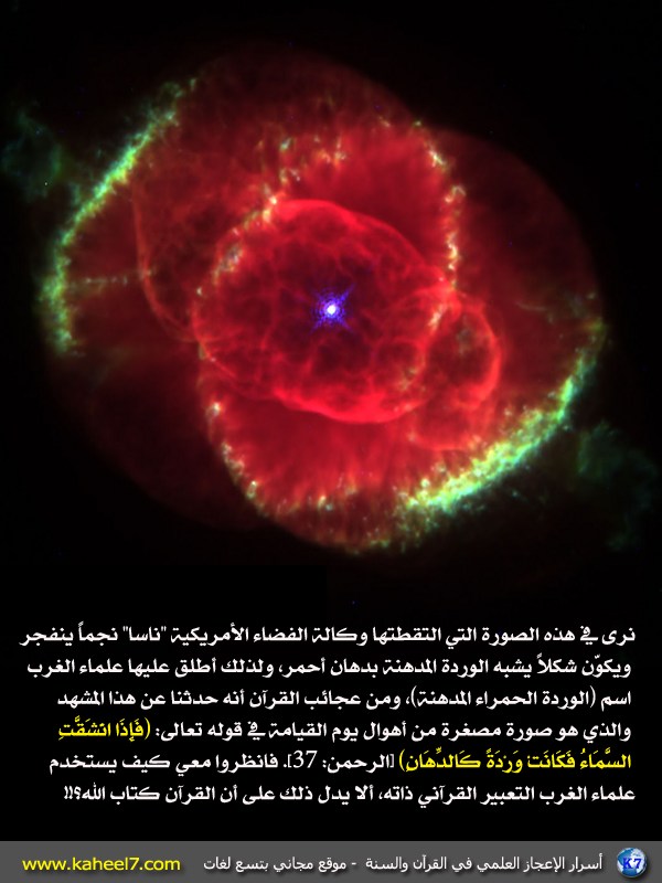 صورة وآية: الوردة المدهنة