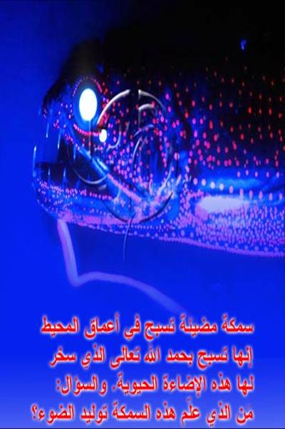 سمكة الأعماق