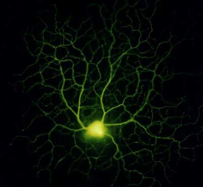 أسرار العلاج بالاستماع إلى القرآن