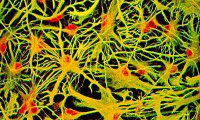 التأثير المذهل لسماع القرآن