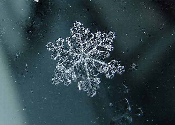 ذاكرة ماء زمزم