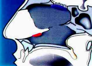 ذاكرة الروائح*********2