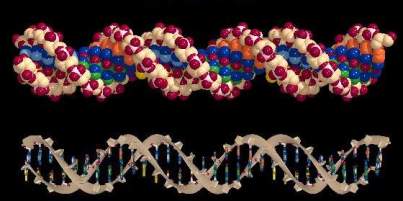 هل يوجد علاج للهرم؟***2