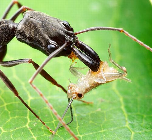 تساؤلات تطرح نفسها