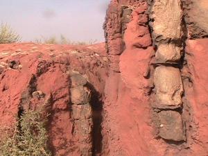 DECOUVERTE D'UNE NOUVELLE FORET PETRIFIEE A TIOUT.