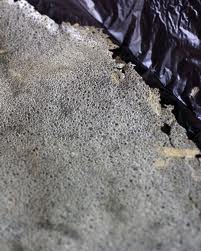 les feuilles de D’youl