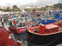 L'Algérie plaide pour un développement durable de la pêche en Méditerranée