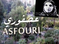 Le cinéma c'est aussi des ego, des névroses, un marché et une compétition 7e Festival d'Oran du film arabe - dernière journée de projection