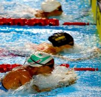 Natation : l'Algérie termine à la 5e place (ENCADRE)