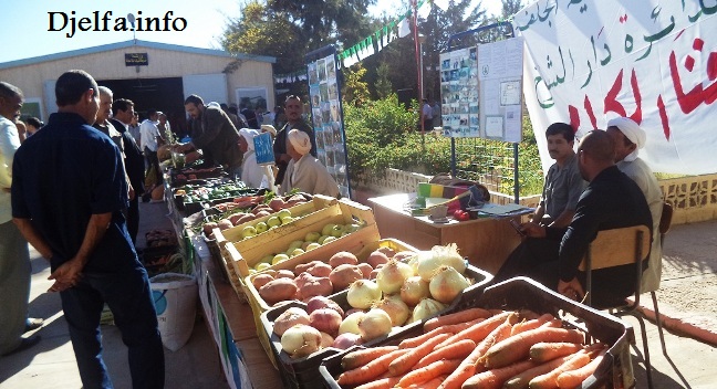 مسعد تحتضن تظاهرة اليوم الوطني للإرشاد الفلاحي ...و 