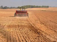 Labours-semailles à Sétif : faire aussi bien sinon mieux que l'année dernière (responsable)