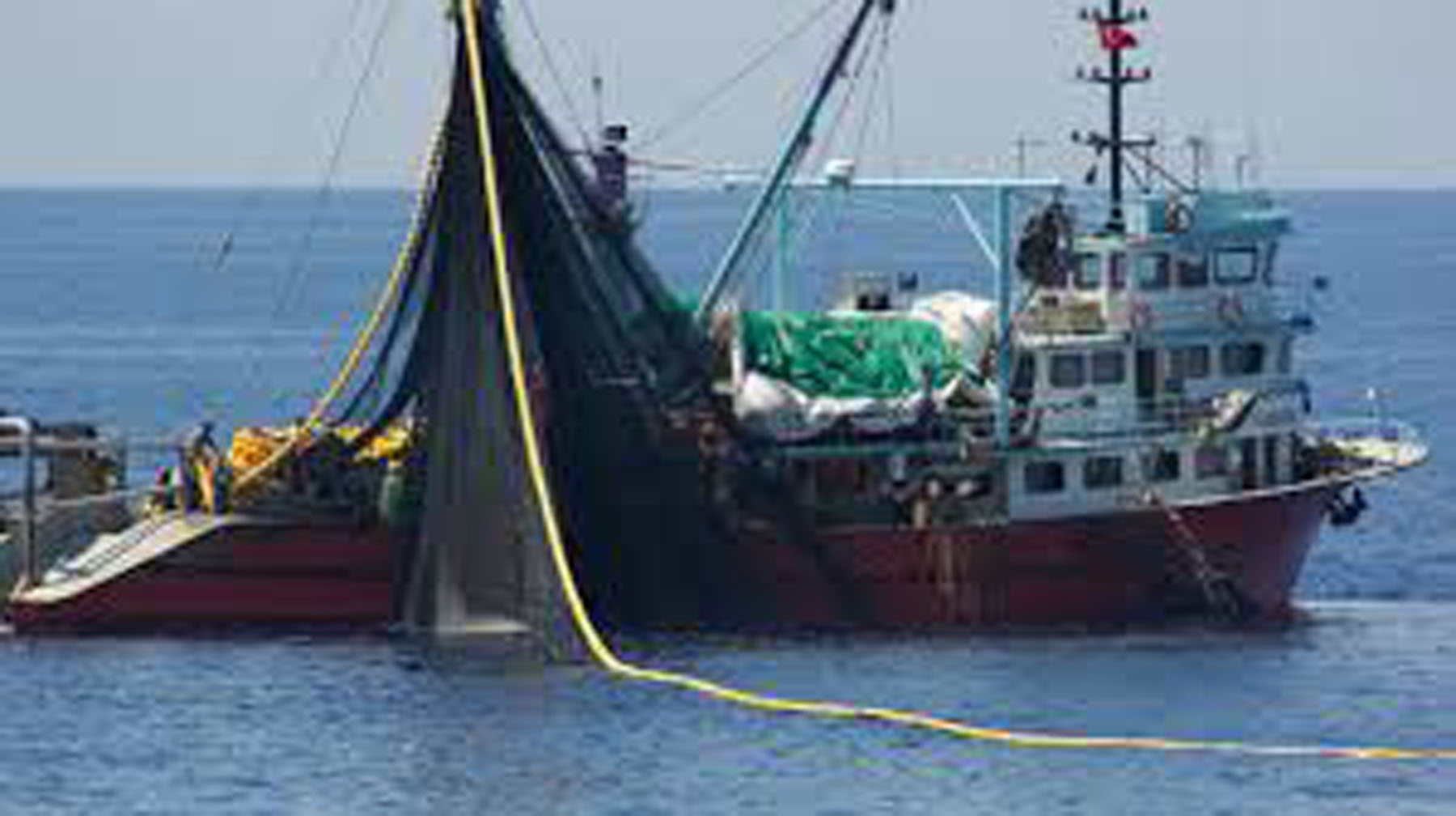 Ressources halieutiques : Développement durable de la pêche en Méditerranée