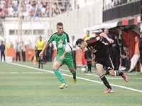 Match avancé de la 7e journée de Ligue 1 : USMA 1 - CSC 1 Courbis trahi par ses attaquants