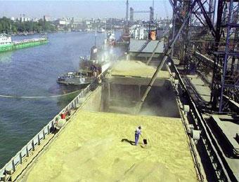 توزيع أكثر من 142 ألف قنطار من البذور على الفلاحين من أجل إنجاح عملية الحرث و البذر على مستوى إقليم ولاية سيدي بلعباس