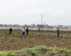 80 بالمائة من الفلاحين في وهران 