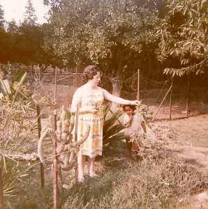 La Succession Si Ahmed a Ouled-chebel