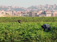 Galvaniser la vulgarisation Agriculture