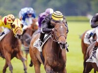 KATEBANE, UNE BELLE CHANCE Les courses a El Eulma