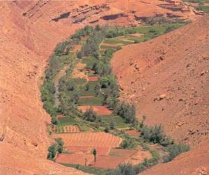 ADRAR AGRICULTURE, Engouement croissant pour le dispositif du crédit RFIG