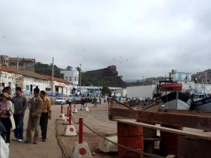 BÉNI-SAF - FORMATION PROFESSIONNELLE Plus de 400 nouveaux stagiaires