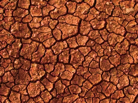 Mise en application durant cette saison de l'assurance agricole sur la sécheresse