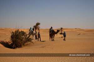« Les gens du désert sont plus proches de la bonté que les peuples sédentaires, car ils sont prêts de l’état originel, et isolés des mauvaises habitudes qui ont contaminé les cœurs des citadins »                                                                         Ibn khaldoune