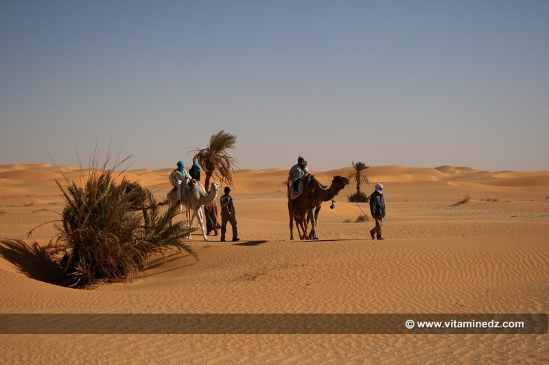 « Les gens du désert sont plus proches de la bonté que les peuples sédentaires, car ils sont prêts de l’état originel, et isolés des mauvaises habitudes qui ont contaminé les cœurs des citadins »                                                                         Ibn khaldoune