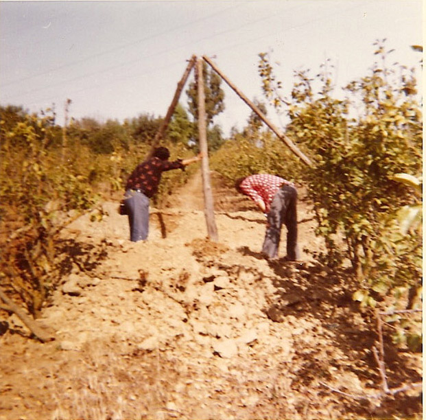 Le puits et la Maison