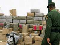 عين الدفلى/ حجز أكثر من 130 كلغ من الكيف المعالج