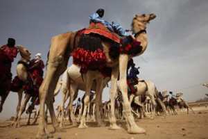 2E FESTIVAL «AMNI NAMIS» À TAMANRASSET La symbolique d'une rencontre au désert